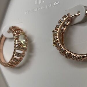 BP EARRINGS NOVEMBER 2025